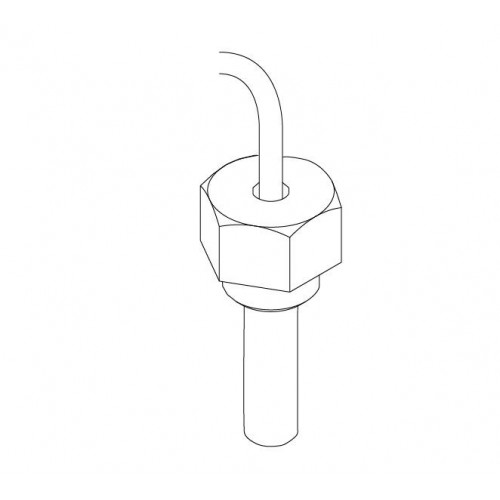 Датчик температуры 100 1/4 «М AISI316L, Sanremo, арт.10112284A